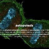 Speculative Somatics and Moving Touch