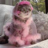 Бьюти блажь