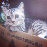 хелп от вилла.