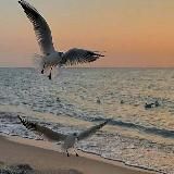 Onpersefone🤍 | Мотивация