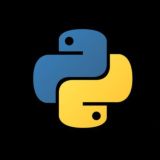 Python for Beginners (Russian)
