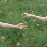 Провославная церковь