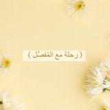 رحلة مع المُفَصَّل✨