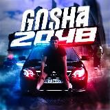 Gosha 2048