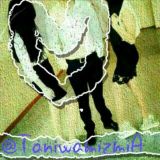 T a N i SH u V l A R O l A m