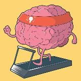 Тренинги и интересные факты