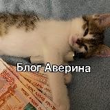 БЛОГ АВЕРИНА ПРО
