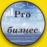 Pro бизнес