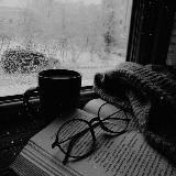 Ленивый книгочей