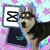 Сибирский хвост