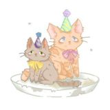 Кошачий уголок😮💨❤️