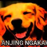 бред ебаный и непонятная хуетень