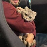 ʙᴇᴢʟɪᴋᴀʏᴀ.