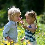 Развивашки для детей