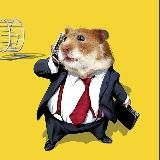 Хомяк инвестирует