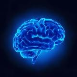ACCENDI IL CERVELLO 🧠