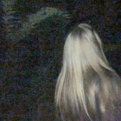 записи элис