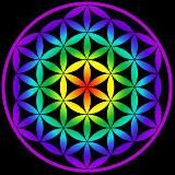 Библиотека Психонавта