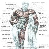 УМНЫЙ АТЛЕТИЗМ - НАУЧНЫЙ И ДУХОВНЫЙ ПОДХОД