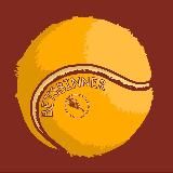 Betsbinner 🎾 | ПРОГНОЗЫ НА ТЕННИС | MMA