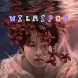 💦 𝘸𝘪𝘭𝘮𝘪𝘱𝘰𝘱 “𝘧𝘢𝘯𝘧𝘪𝘤𝘴