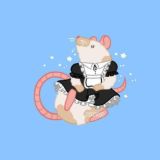 Крыски в чулочках