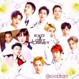 ⋆.ೃ࿔:・ exoplanet ・:࿔ೃ.⋆