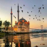 𝓮𝔁𝓱𝓵𝓲𝓫𝓮𝔂𝓽