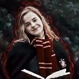 ⚡️FF Harry Potter🧹