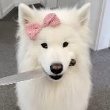 ПЕРЕЕЗД || сьсика риса дайте денег НЕ работает