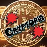 Cryptopia