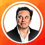 Elon Musk Today