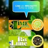 🍋Lime company Premium🍋