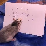 Солевая Милана (НЕОСНОВА)