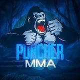PUNCHER | MMA & Kickboxing & Muay-Thai
