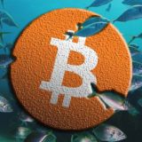 BTC FISH | КРАЖА КРИПТЫ