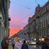 Нейро гнездо