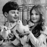 𝑴𝑶𝑶𝑵𝑳𝑰𝑮𝑯𝑻