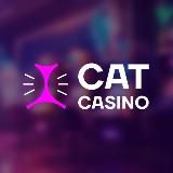 CatCasino 🐱