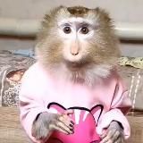 муравейник