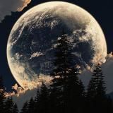 ✨Будь как дома✨