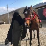 𝗥𝗮𝗯𝗶 ДЕТСКОЕ ОПТ🧸