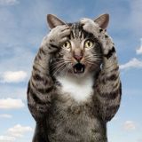 Переходник