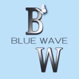 BW | Обучение