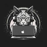 Цифровой кот Код