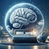 Brain_WB
