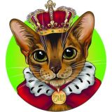 Зевс на связи 🐈