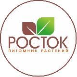 Питомник Росток