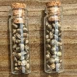 🪖🇺🇦💪HEMP SEEDS MARKET