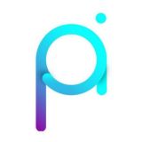 Project PAI Indonesia Community🇮🇩🇮🇩🇮🇩🇮🇩🇮🇩